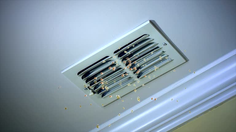 Best Air Duct Cleaning Near Me  in Evansville, WI